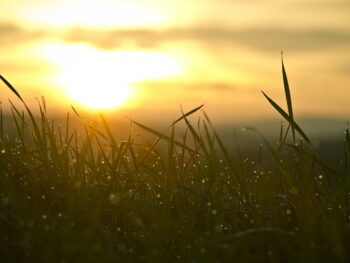 15th Anniversary Blockchain Life Forum to Take Place in Dubai, October 28-29, 2025