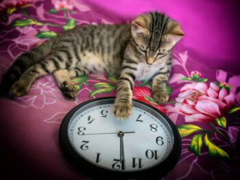 Bitget Joins UNICEF Game Changers Coalition to Provide Blockchain Education to 300K People in 2025