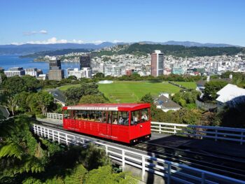 Cashback on Every Purchase with COCA Card