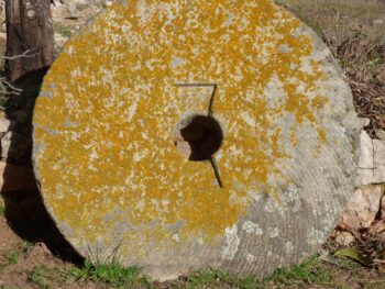 Freedx Introduces Live Crypto Quiz Show Featuring Rewards for Participants