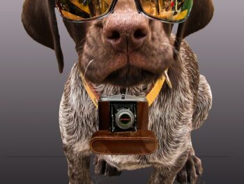 ICOPAX Achieves Major Development Milestones, Expands Telegram DEX Ecosystem