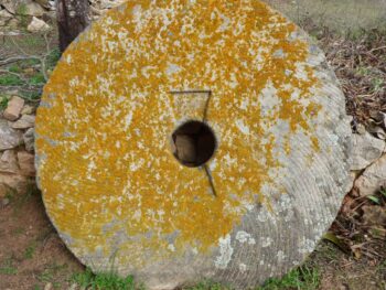 JuCoin Evolves to Ju.com – Where Point, Click, Trade Meets Infinite Possibility